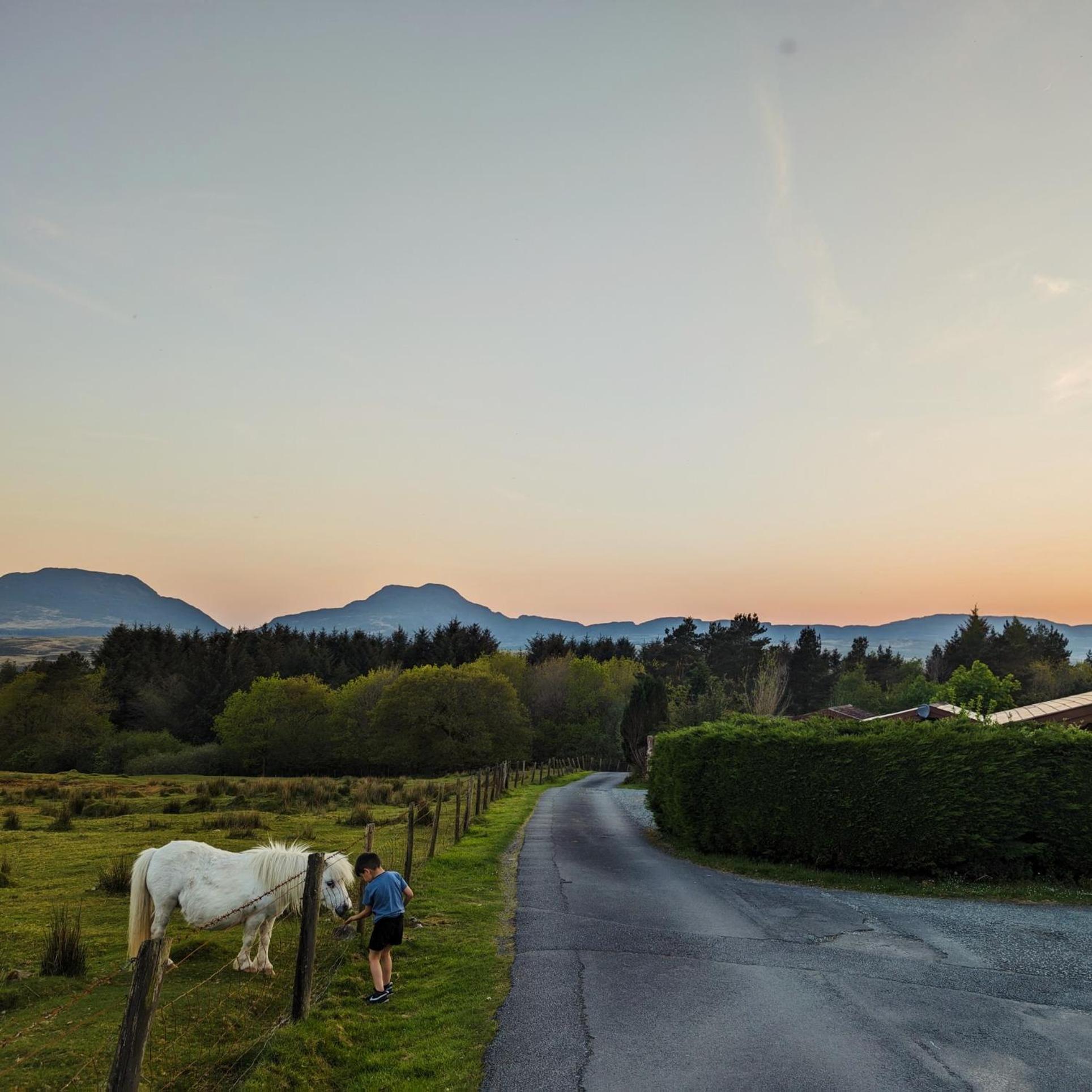 Thistledonia Trawsfynydd Exterior photo